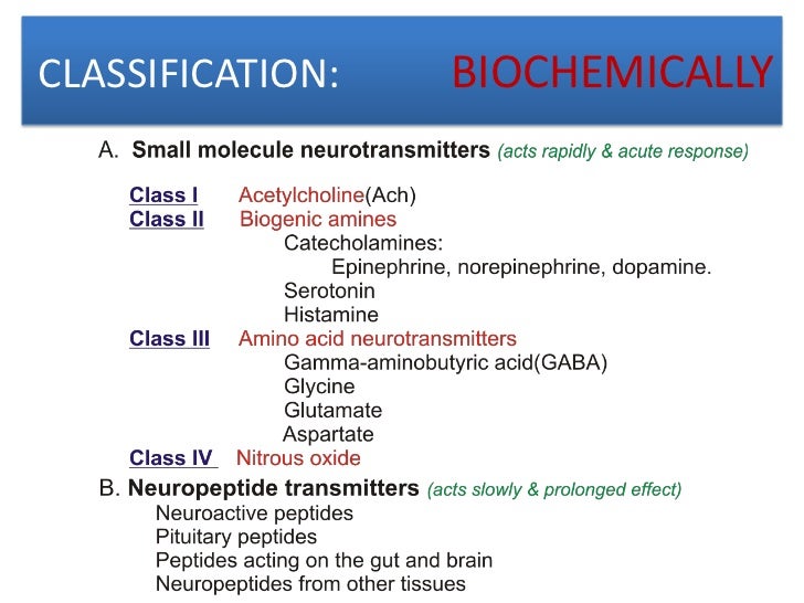 Neurotransmitter Receptors: Mechanisms of Action and Regulation